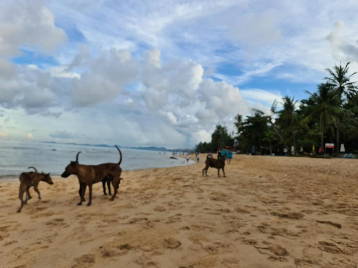 Kim Lien Phu Quoc Guesthouse Buitenkant foto